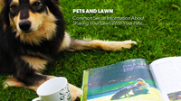 PETS AND LAWN